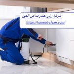 شركة رش حشرات في العين