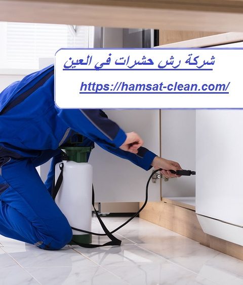 شركة رش حشرات في العين