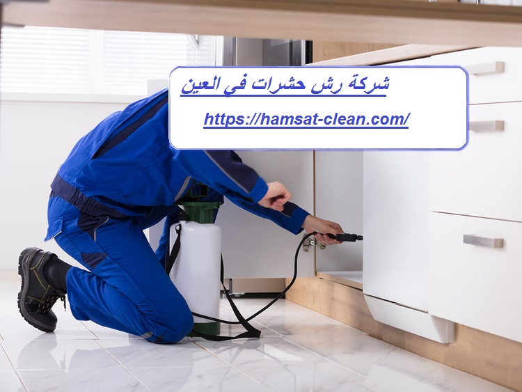 شركة رش حشرات في العين