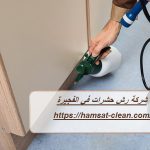شركة رش حشرات في الفجيرة