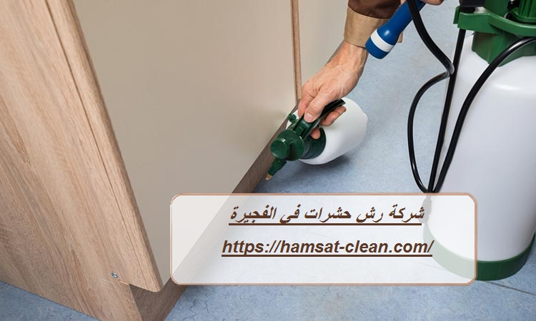 شركة رش حشرات في الفجيرة
