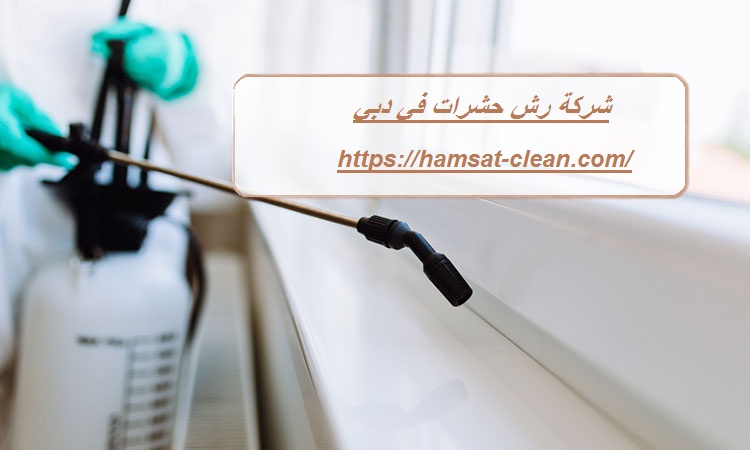 شركة رش حشرات في دبي