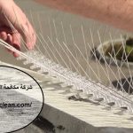 شركة مكافحة الحمام فى الشارقة