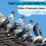 شركة مكافحة الحمام فى راس الخيمة