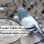 شركة مكافحة الحمام في ام القيوين