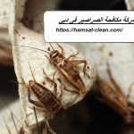 شركة مكافحة الصراصير فى دبى
