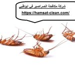 شركة مكافحة الصراصير في ابوظبي