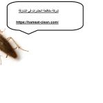 شركة مكافحة الصراصير في الشارقة