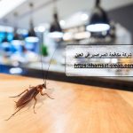 شركة مكافحة الصراصير في العين