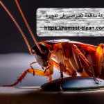 شركة مكافحة الصراصير في الفجيرة