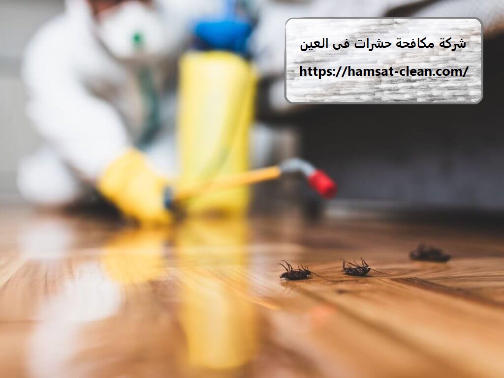 شركة مكافحة حشرات فى العين