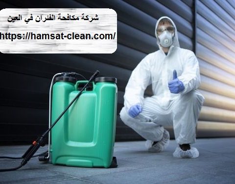 شركة مكافحة الفئران في العين