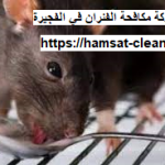 شركة مكافحة الفئران في الفجيرة