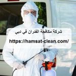 شركة مكافحة الفئران في دبي