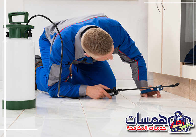احجز خدمة مكافحة الحشرات بالدمام عبر الرقم 0559016158. فني من همسات كلين ينفذ خدمة مكافحة الحشرات داخل منزل بالدمام.