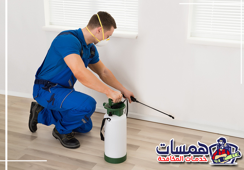 احجز خدمة مكافحة الحشرات بمكة على 0559016158. فني من همسات كلين ينفذ خدمة مكافحة الحشرات داخل منزل بمكة.