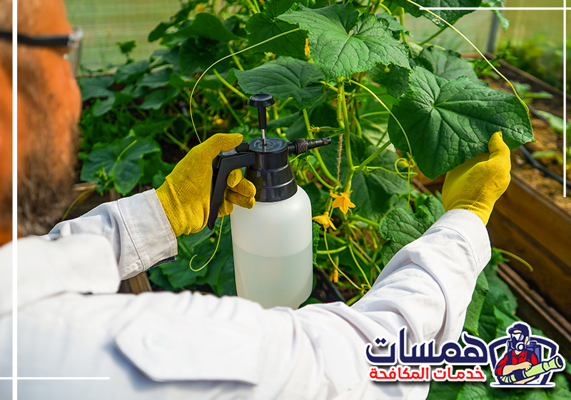 اتصل على 0559016158 لمعرفة إرشادات العودة إلى المنزل بعد الرش. تهوية الغرف وتنظيف الأسطح المناسبة بعد انتهاء مدة الانتظار المحددة عقب الرش.