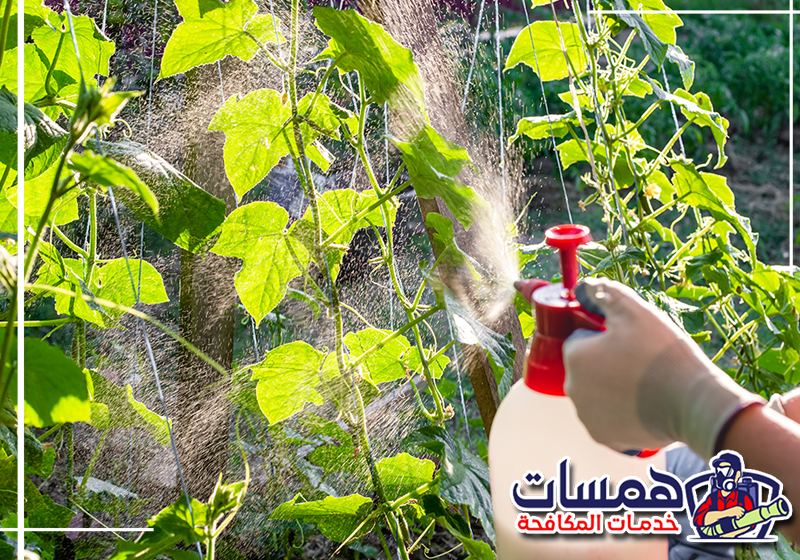 لمعرفة احتياطات الرش تواصل مع همسات كلين عبر 0559016158 إخلاء منطقة الرش من الأطفال والحيوانات الأليفة قبل بدء مكافحة الحشرات.
