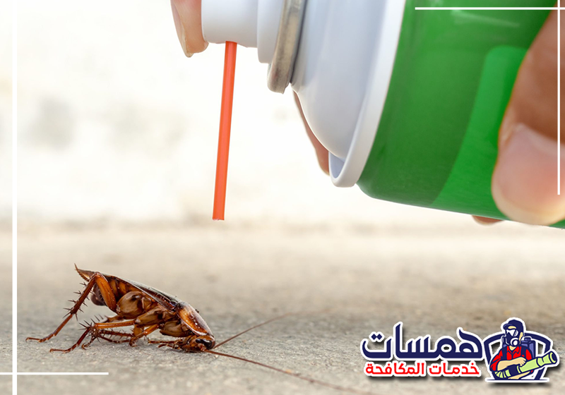 اطلب فحص الصراصير من همسات كلين عبر 0559016158 فحص خلف الأجهزة للكشف عن البيض ومسارات حركة الصراصير