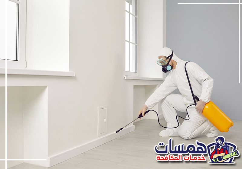 احجز مكافحة نمل المطبخ من همسات كلين عبر 0559016158 معالجة زوايا المطبخ والشقوق التي يخرج منها النمل