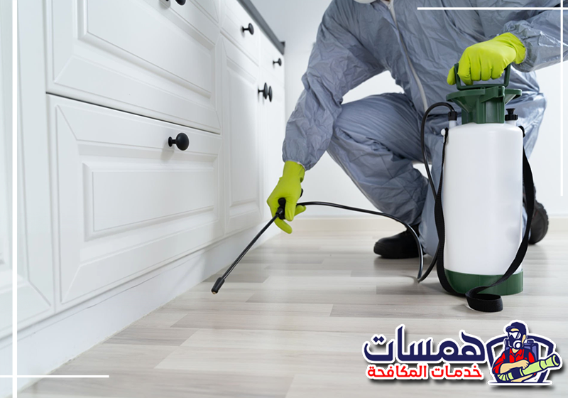 تخلص من الحشرات داخل منزلك بالاتصال على 0559016158 تنفيذ مكافحة الحشرات المنزلية بالأحساء مع التركيز على الزوايا ومناطق الاختباء