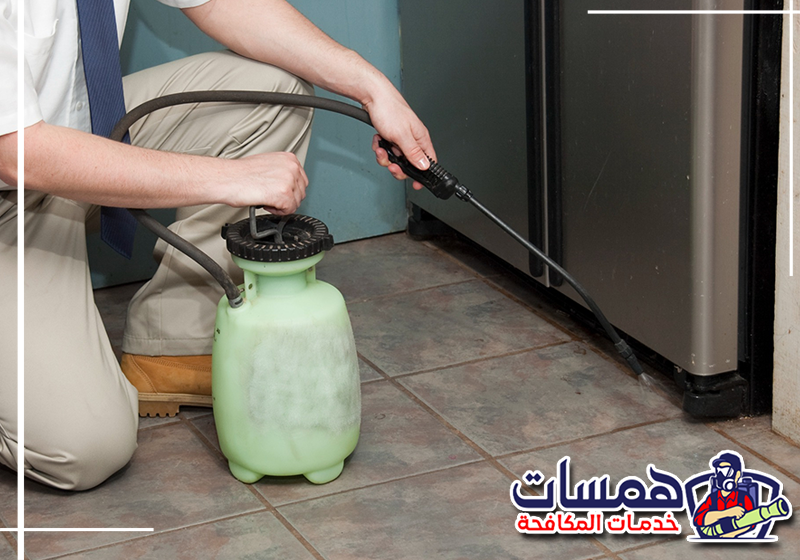 اتصل على 0559016158 لطلب مكافحة الحشرات المنزلية. فحص الشقوق والزوايا لتحديد أماكن اختباء الحشرات قبل بدء المعالجة.