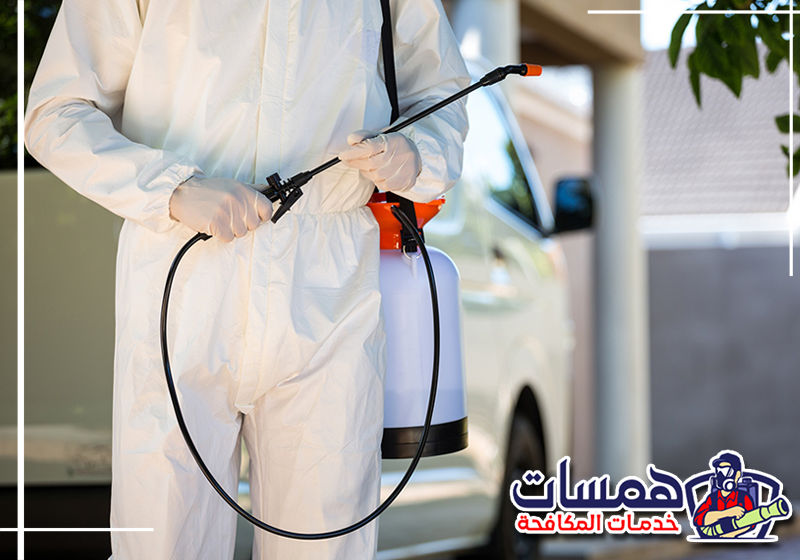 اطلب مكافحة الحشرات المنزلية من همسات كلين على 0559016158 معالجة أماكن اختباء الحشرات داخل المطبخ باستخدام أدوات رش مناسبة لطبيعة المكان