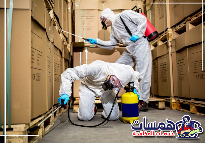 اطلب شركة مكافحة حشرات بجدة من همسات كلين على 0559016158 فني يفحص المنزل لتحديد نوع الحشرات ومناطق انتشارها