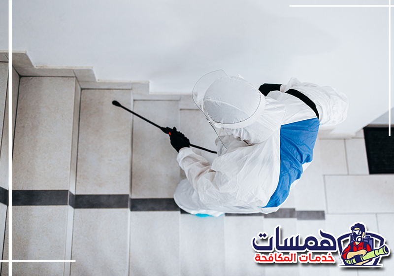 اطلب رش حشرات بالرياض من همسات كلين على 0559016158 فني يرش زوايا المنزل والمداخل للحد من انتشار الحشرات