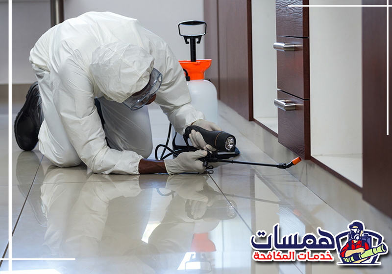 اتصل على 0559016158 لطلب فحص ومكافحة الحشرات بالدمام. فحص زوايا المنزل والشقوق لتحديد أماكن اختباء الحشرات قبل الرش.