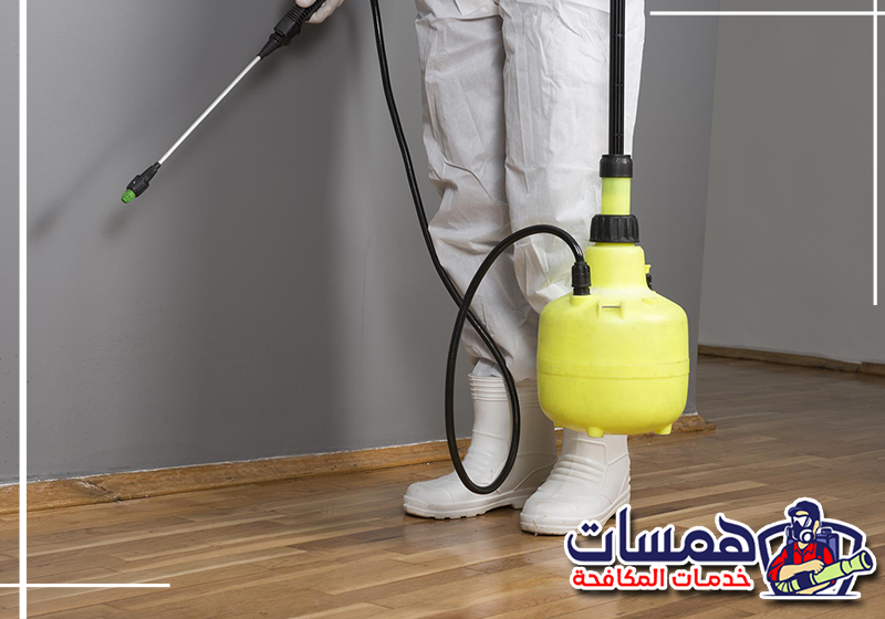 تواصل مع همسات كلين لخدمات مكافحة الحشرات على 0559016158 فني يستخدم أدوات رش مناسبة لمعالجة المناطق المصابة بالحشرات داخل أحد المباني في تبوك.