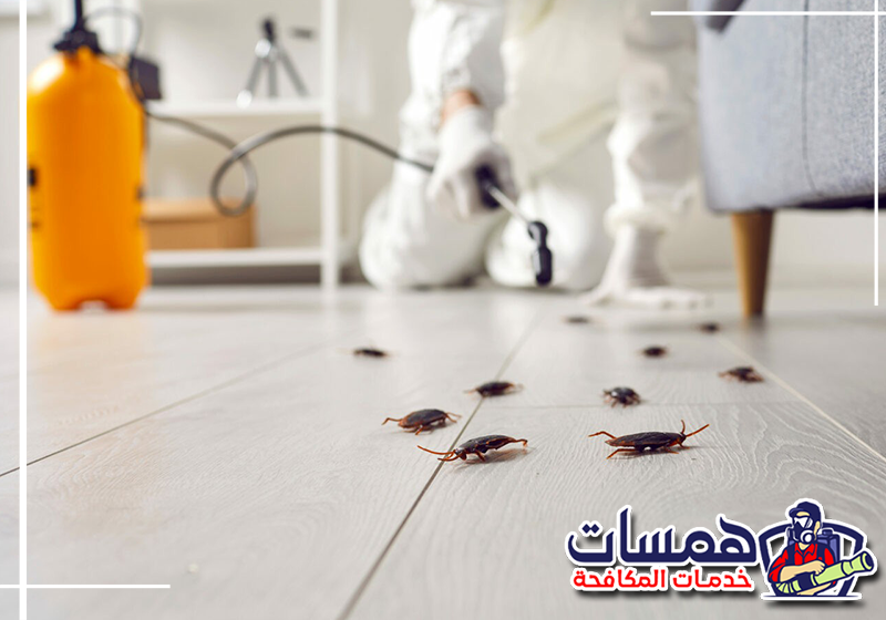 شركة رش صراصير بالدمام