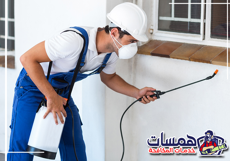 احجز خدمة مكافحة الحشرات في المدينة المنورة على 0559016158. فني من همسات كلين ينفذ خدمة مكافحة الحشرات داخل منزل بالمدينة المنورة.