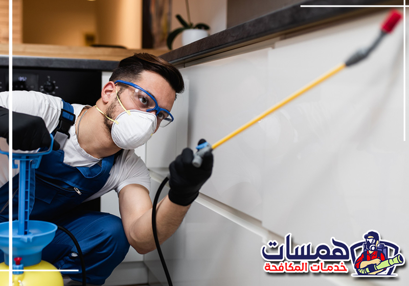 احجز خدمة مكافحة الحشرات من همسات كلين عبر 0559016158. فني من شركة مكافحة حشرات بتبوك يفحص الزوايا والشقوق لتحديد أماكن انتشار الحشرات داخل المنزل.