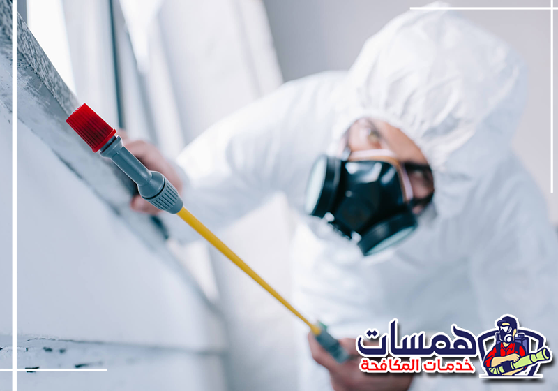 لمكافحة الآفات بالمدينة المنورة اتصل بهمسات كلين 0559016158 رش أماكن انتشار الحشرات في الغرف والمطابخ باستخدام معدات مخصصة.