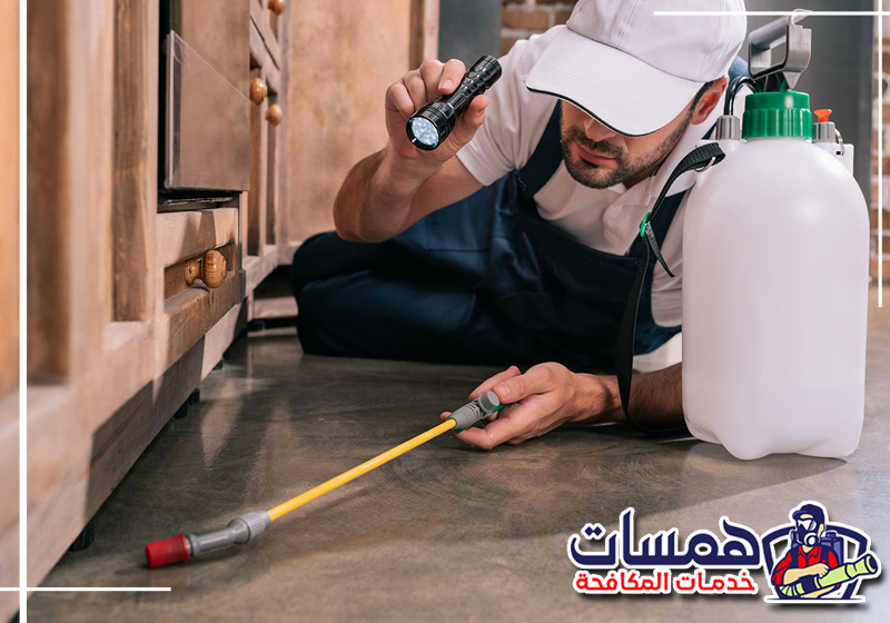 احجز خدمة مكافحة حشرات بالطائف عبر 0559016158 فني يفحص زوايا المنزل لتحديد أماكن انتشار الحشرات قبل بدء المعالجة بالطائف.
