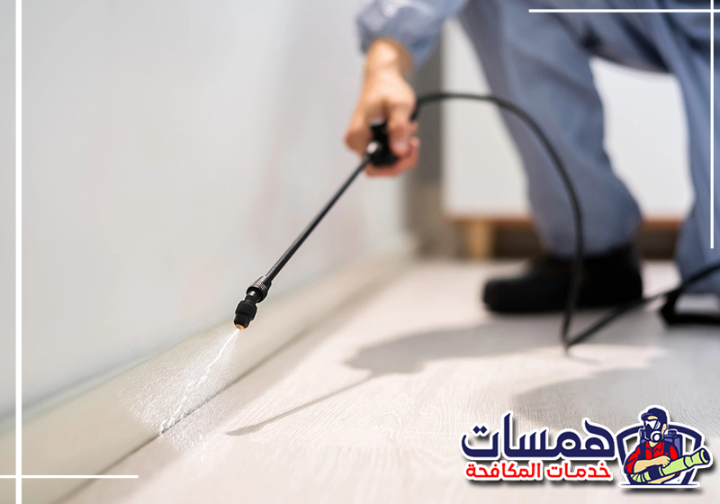 احجز معالجة الحشرات المنزلية من همسات كلين عبر 0559016158 معالجة الشقوق والأماكن المخفية التي تتجمع بها الآفات