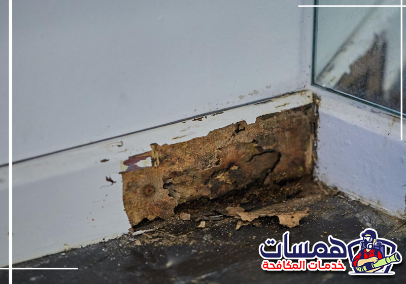 لمكافحة النمل الأبيض بالرياض اتصل بهمسات كلين على 0559016158 حبيبات ونشارة دقيقة بالقرب من الأثاث قد تدل على إصابة بالنمل الأبيض.