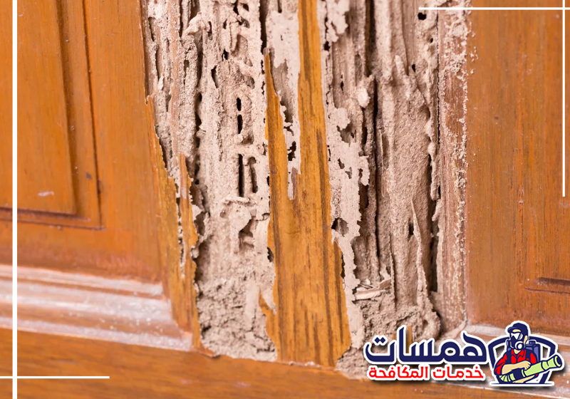 اتصل على 0559016158 لطلب فحص الأثاث من همسات كلين. ثقوب صغيرة وآثار تلف تظهر على الأثاث الخشبي نتيجة نشاط النمل الأبيض.